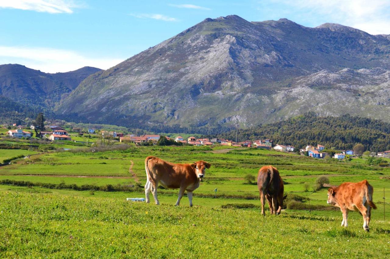 Villa Casa Palo Balcon A Picos De Europa Les Arriondes Exterior foto